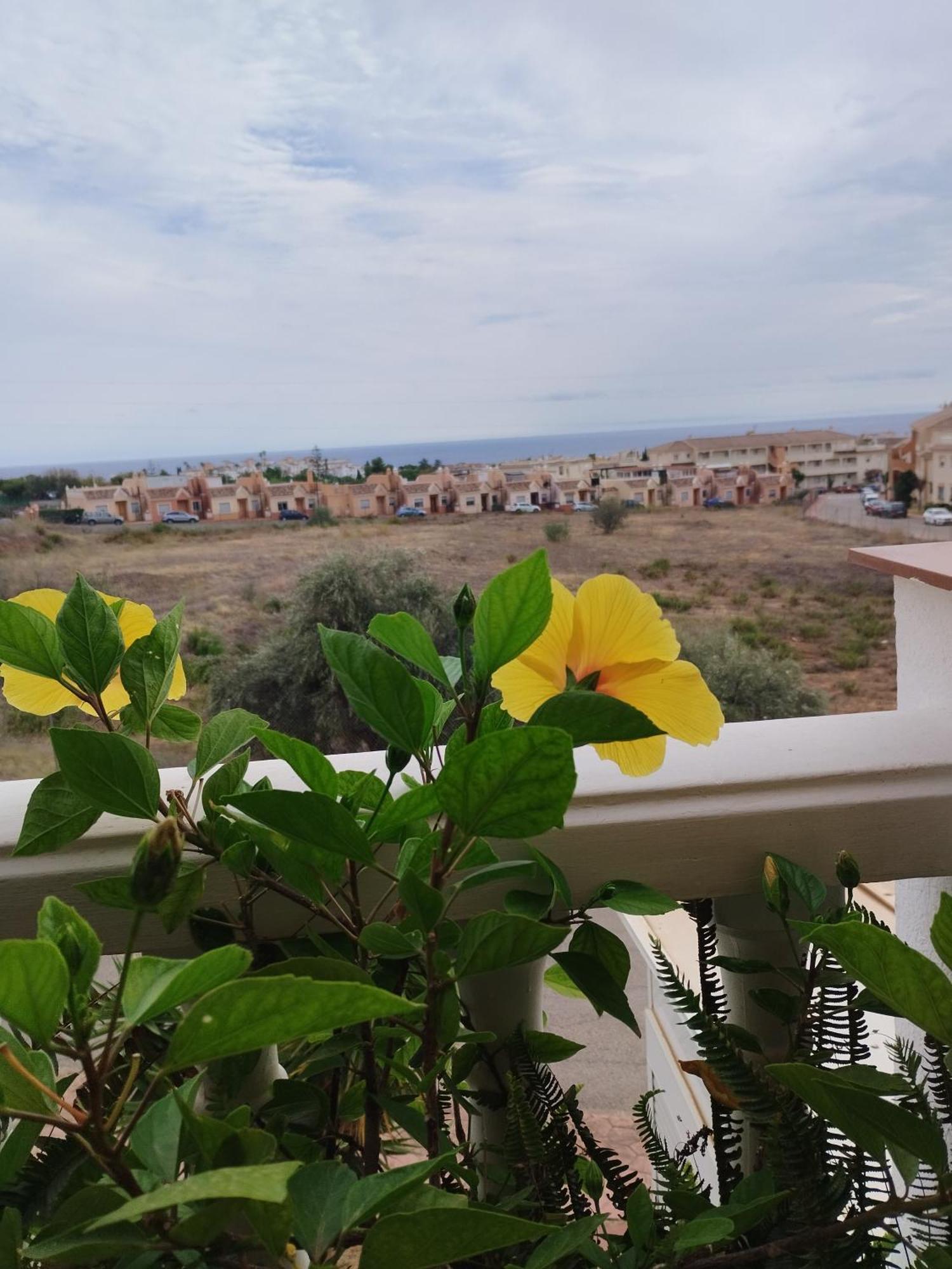 Apartamento Casa Cariño Torrox Exterior foto