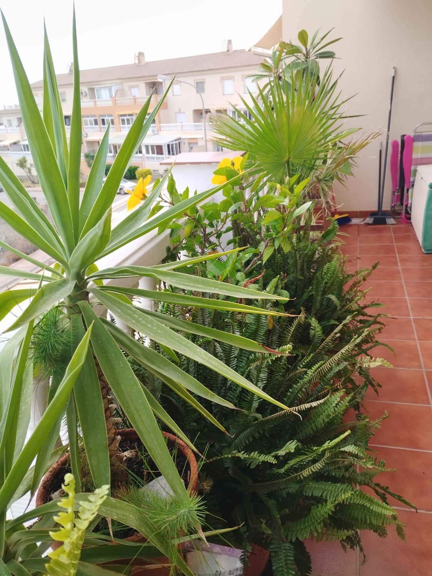 Apartamento Casa Cariño Torrox Exterior foto